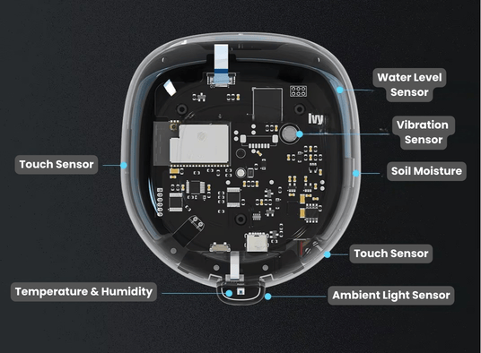 Ivy sensing blueprint