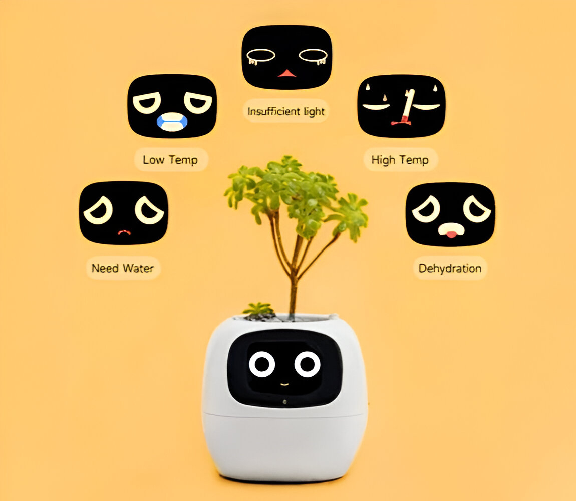 Ivy facial expression variations