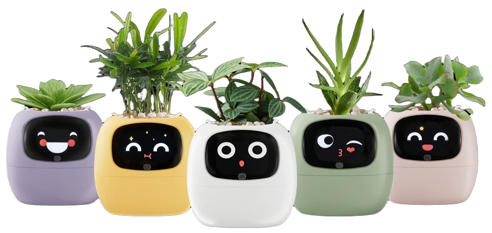 Ivy Smart Plant Pot